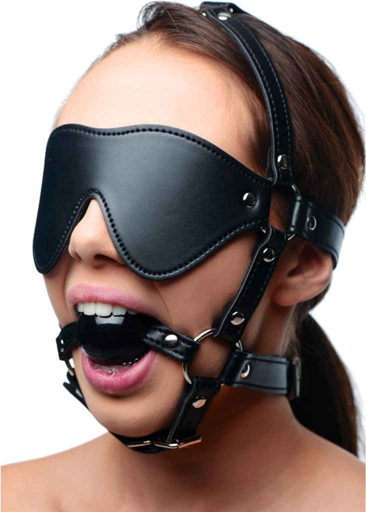 blindfold harness and ball gag